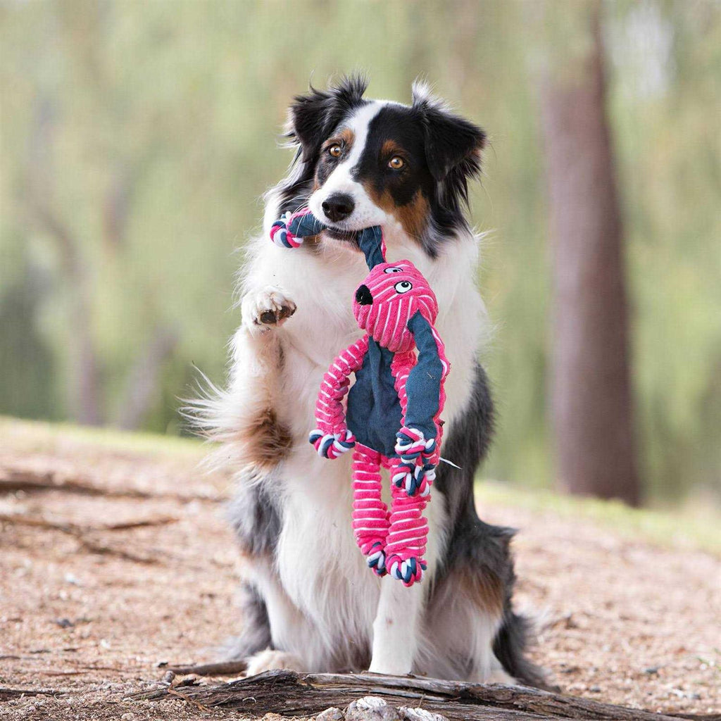 Bunny Dog Toy W71741